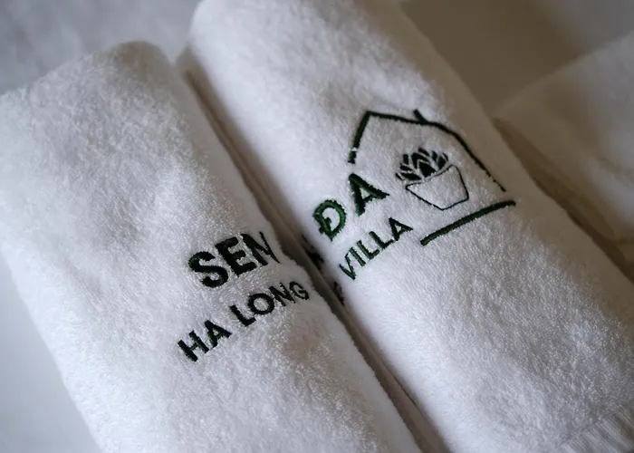 Sen Da *